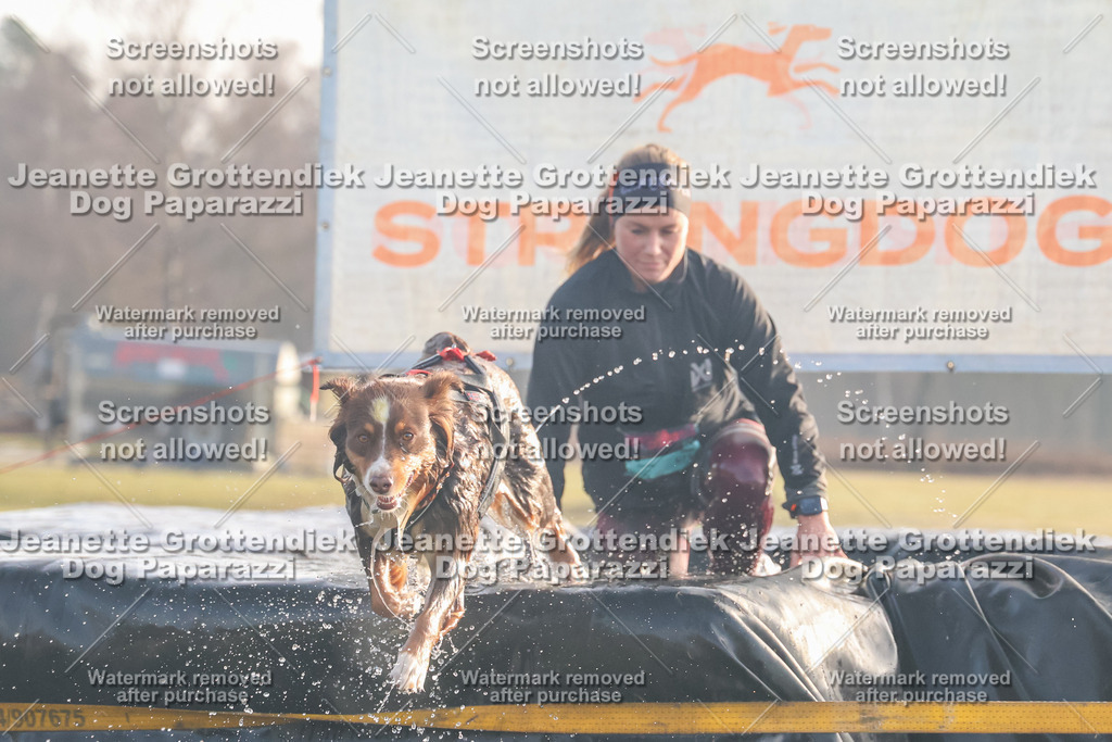 Dog Paparazzi - SD North Sa 830-900-168 | Dog Paparazzi Jeanette Grottendiek Fotografie & Videografie - Realisiert mit Pictrs.com