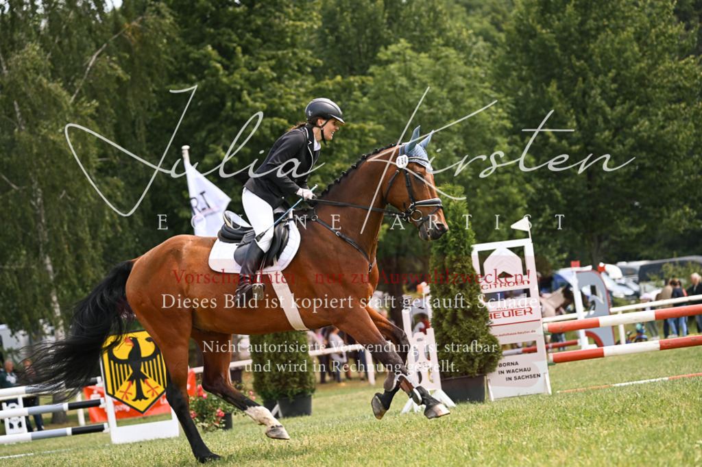 DSC_9167 | Pferde- und Turnierfotografie in Westsachsen. Pferdeportraits, Auftragszeichnungen und intuitive Kunst.