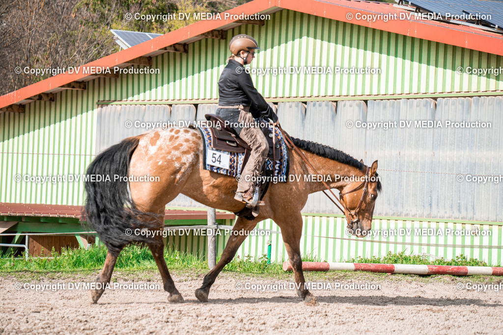 BAL02776 | dv-media-shop - Realisiert mit Pictrs.com