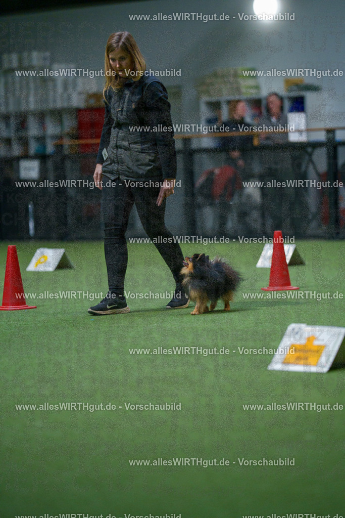 7R503549 | Professionelle Tierfotografie in Mönchengladbach von Daniel Wirth (allesWIRTHgut). Liebevolle & natürliche Bilder von Hunden & Katzen für unvergessliche Erinnerungen.