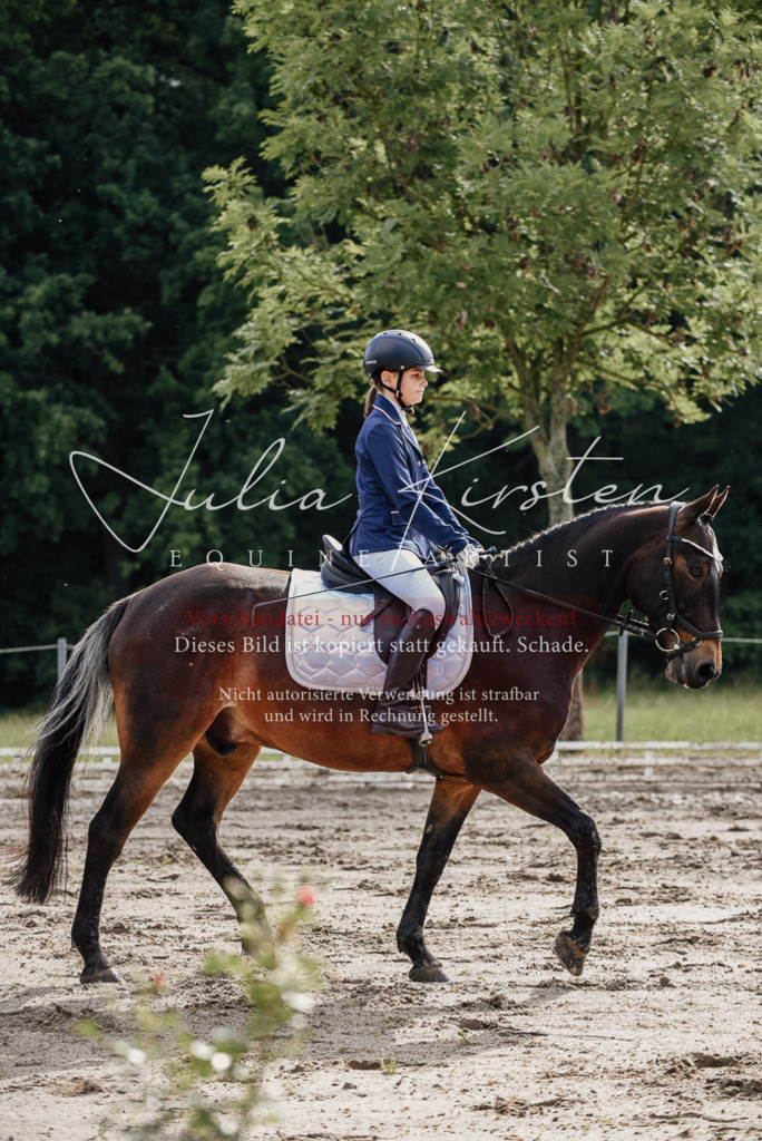 DSC_9114 | Pferde- und Turnierfotografie in Westsachsen. Pferdeportraits, Auftragszeichnungen und intuitive Kunst.
