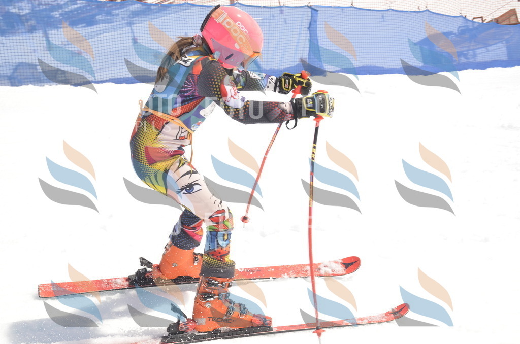 _ELE9287 | holidayphoto