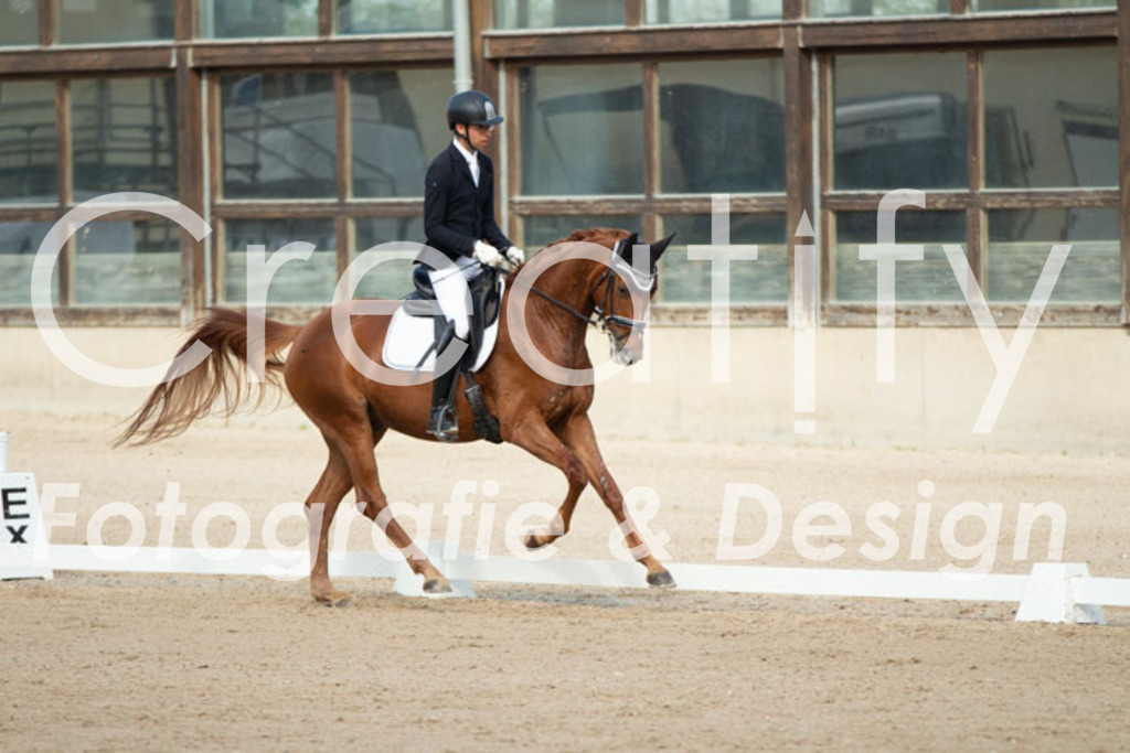 IMG_0575 | Creatify Fotografie