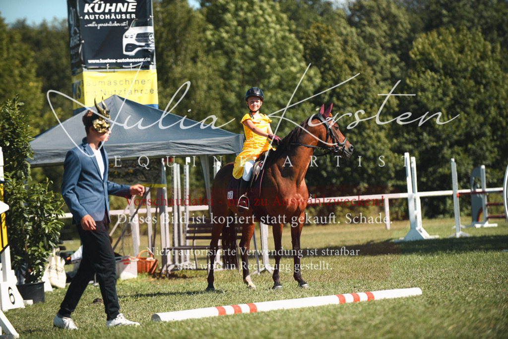 DSC_7510 | Pferde- und Turnierfotografie in Westsachsen. Pferdeportraits, Auftragszeichnungen und intuitive Kunst.
