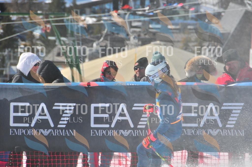 DSC_4387 | holidayphoto