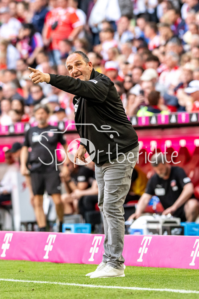FC Bayern München - 1. FC Heidenheim | MUNICH, GERMANY - 02. MAI: im Bild  Frank SCHMIDT Trainer 1. FC Heidenheim / Einzelfoto / Freisteller während dem Bundesligamatch zwischen dem FC Bayern München und dem 1. FC Heidenheim am 32. Spieltag in der Allianz Arena / DFL REGULATIONS PROHIBIT ANY USE OF PHOTOGRAPHS AS IMAGE SEQUENCES AND/OR QUASI-VIDEO