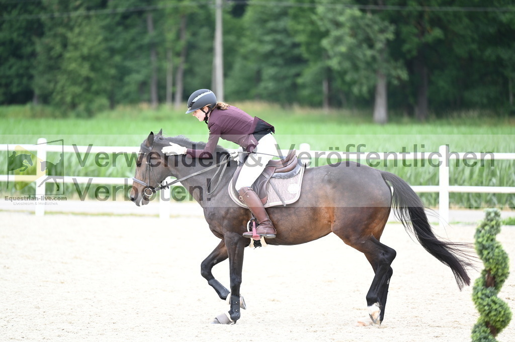 DSC_5584 | equestrian-live-com