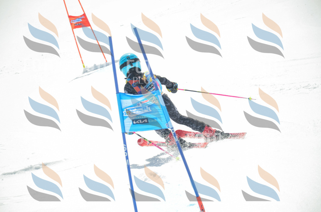 _ELE5641 | holidayphoto