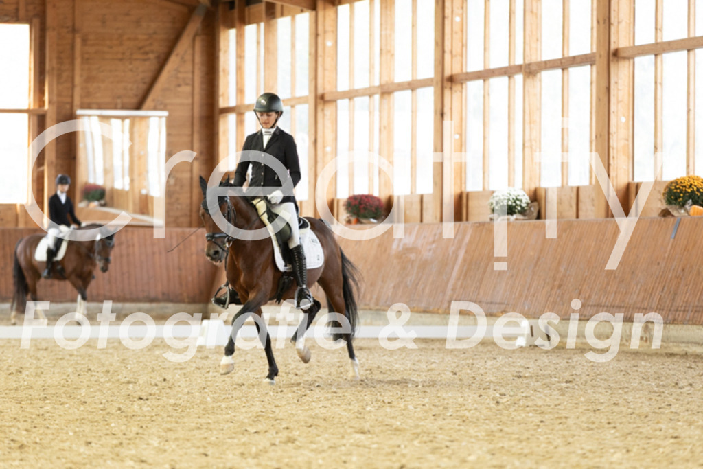 IMG_6004 | Creatify Fotografie