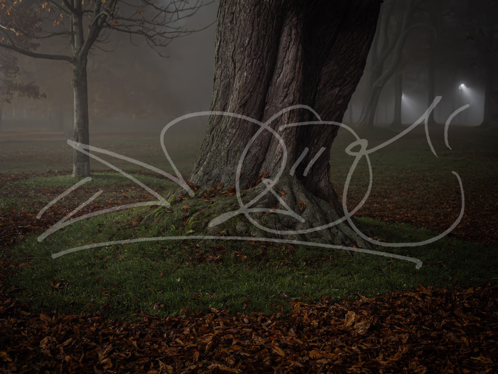 Nebel Au | Naturschönheiten aus Deutschland. Pflanzen und Tiere, Insekten und Naturschauspiele. Alle schönen Details, die uns umgeben, fotografiert von Michi Moc.  - Realisiert mit Pictrs.com