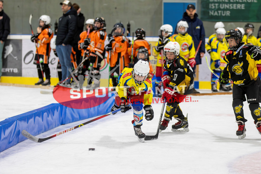 Eishockey | Eishockey, KEHV U10 Abschlussturnier am 17.03.2024 in Ferlach (HTC Eissporthalle), Austria, (Photo by Ernst Krawagner sport-fan.at) - Realisiert mit Pictrs.com
