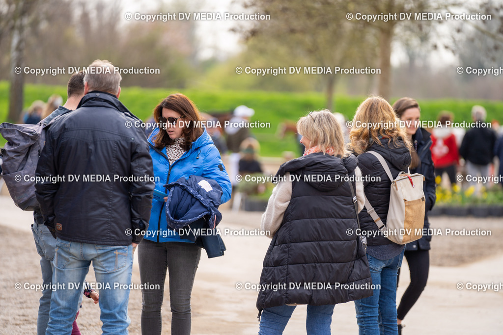 Springen Tag 3-427 | dv-media-shop - Realisiert mit Pictrs.com