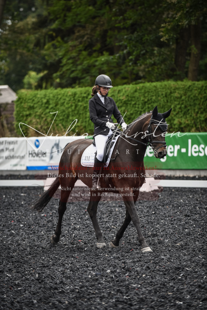 DSC_4662 | Pferde- und Turnierfotografie in Westsachsen. Pferdeportraits, Auftragszeichnungen und intuitive Kunst.