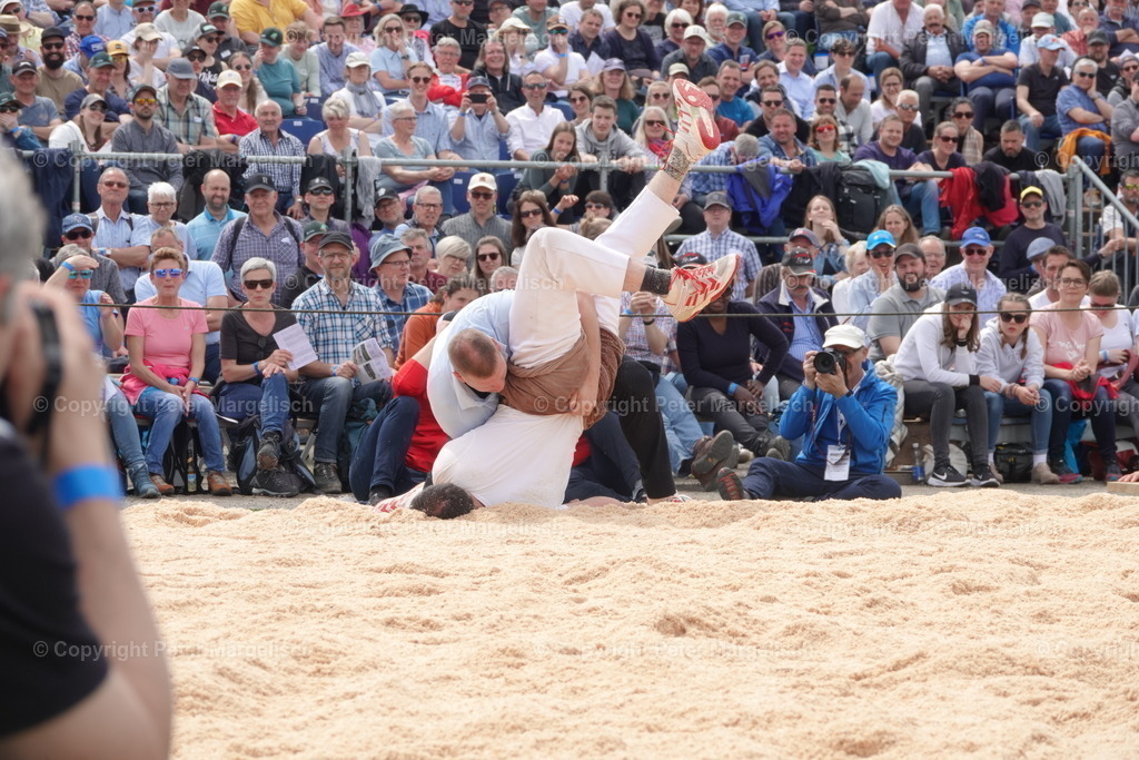 DSC03674 | Schwingen - Realisiert mit Pictrs.com