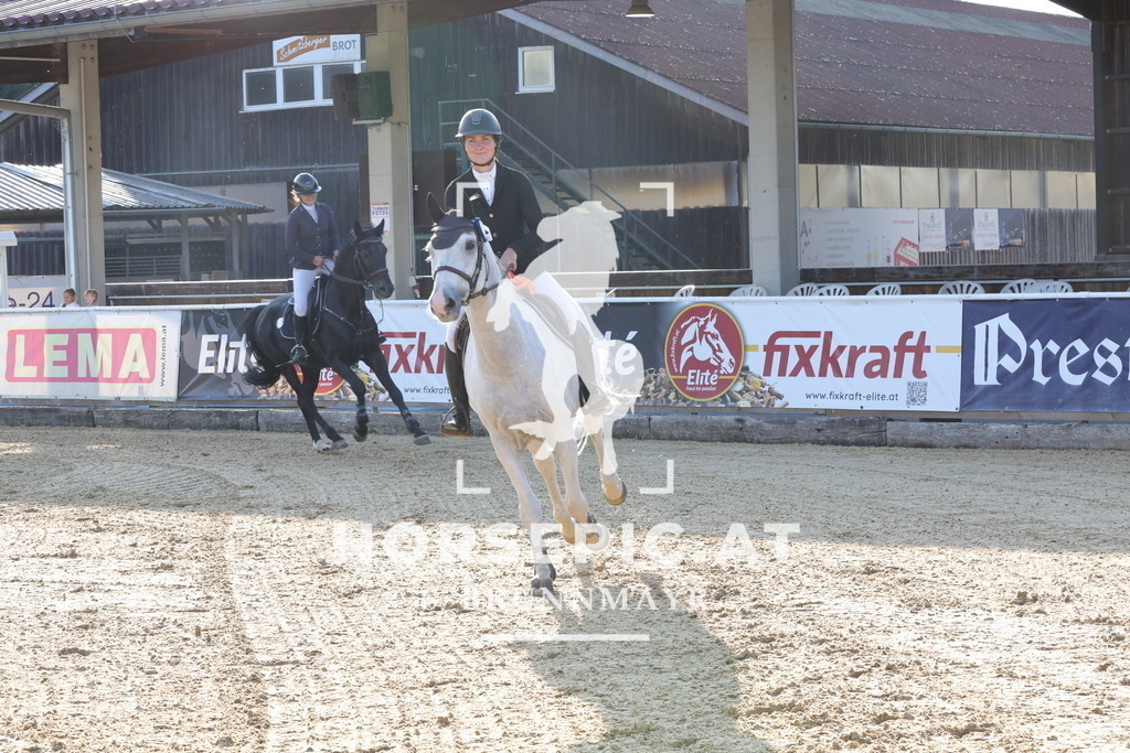 0P6A8375 | Willkommen bei Brunnmayr - Design & Fotografie – Ihrem Spezialisten für Reitturniere und Pferdeveranstaltungen in Oberösterreich, Salzburg und Bayern! Seit über 17 Jahren sind wir leidenschaftlich dabei.