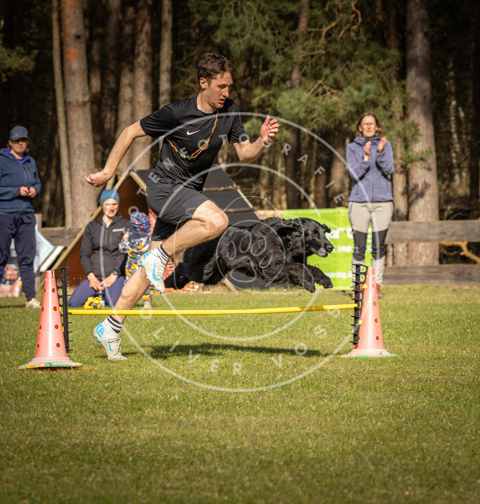 Pfotenfotografie_DV3A2641 | Hundefotografie, Tierfotograf, Pfotenfotografie, Fotoshooting Hund, Hunde Portrait, Hundesport, Hundeportraits, Heideshooting, Hunde, Sportfotograf, Hundefotograf, Turnierhundsport, THS,  - Realisiert mit Pictrs.com