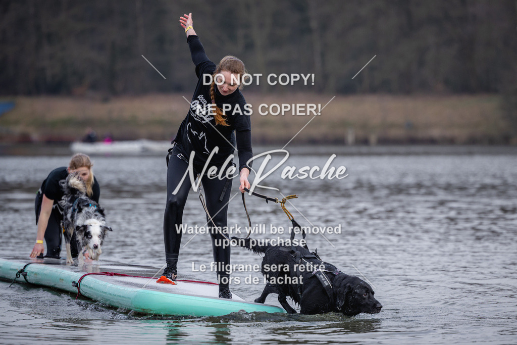 nelerasche_Hulsbeek_Sa1600-1700_470 | nelerasche