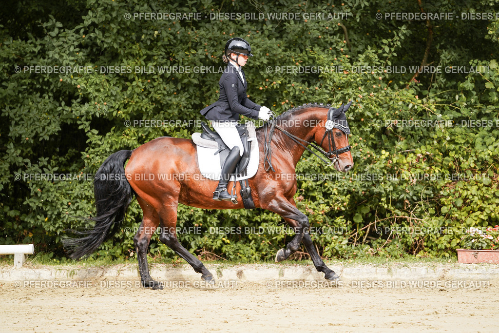 DSC02009 | Pferdegrafie