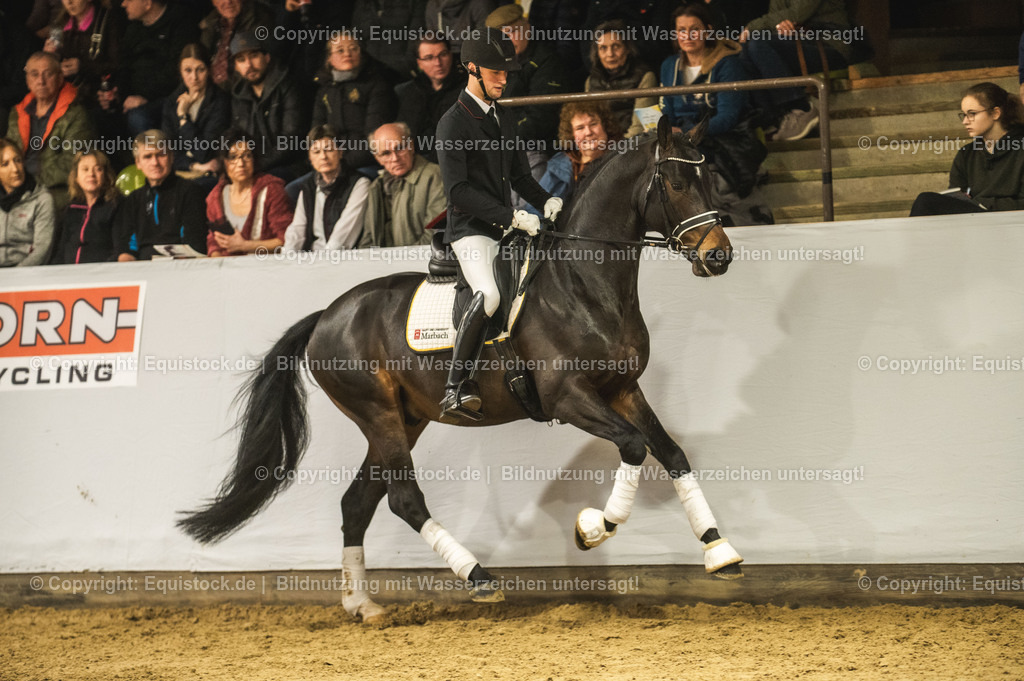 20240302_Hengstvorstellung_Marbach_TOMsPiC_0398 | equistock