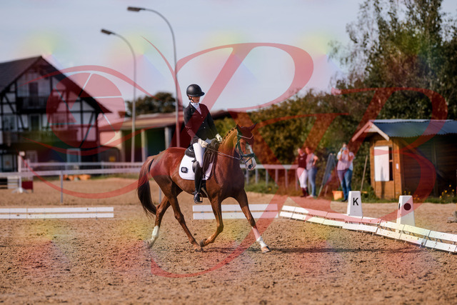 2026_10_03_Siefer-Hof_133154_Z81_87310872 | Professionelle Reitsport-, Turnier- und Eventfotografie von Robert Broda. Galerien mit ausgewählten und bearbeiteten Bildern direkt online ansehen und bestellen.