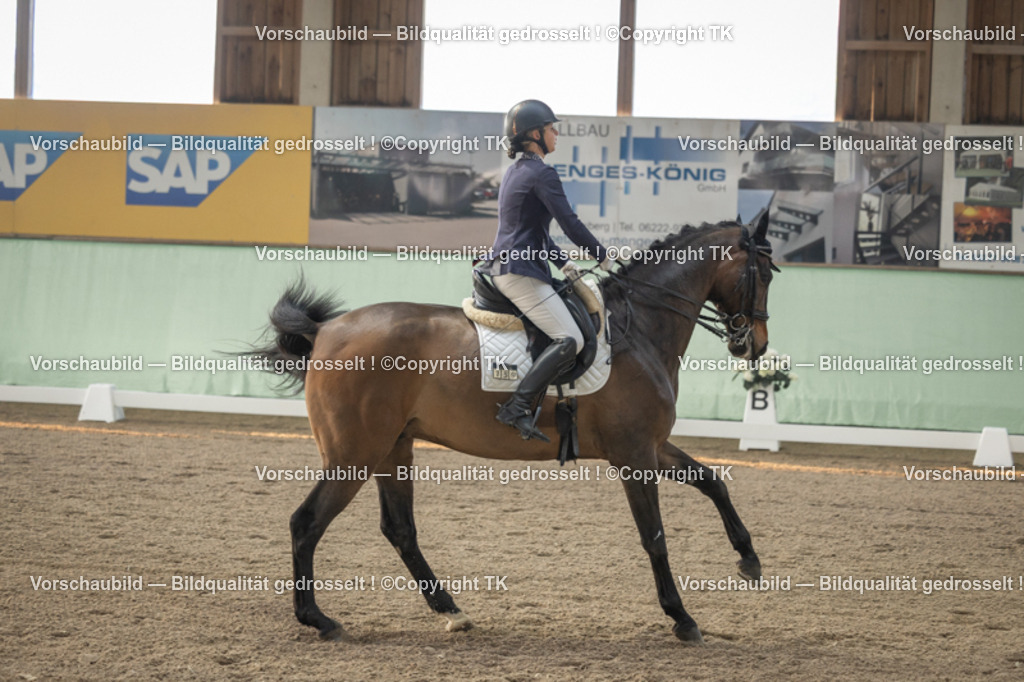 _D5A3940 | Emotionale Pferde- & People-Fotografie rund um Heidelberg, Leimen & Umgebung. Natürliche Fotos von Pferd, Mensch & Familie. Jetzt Termin sichern!