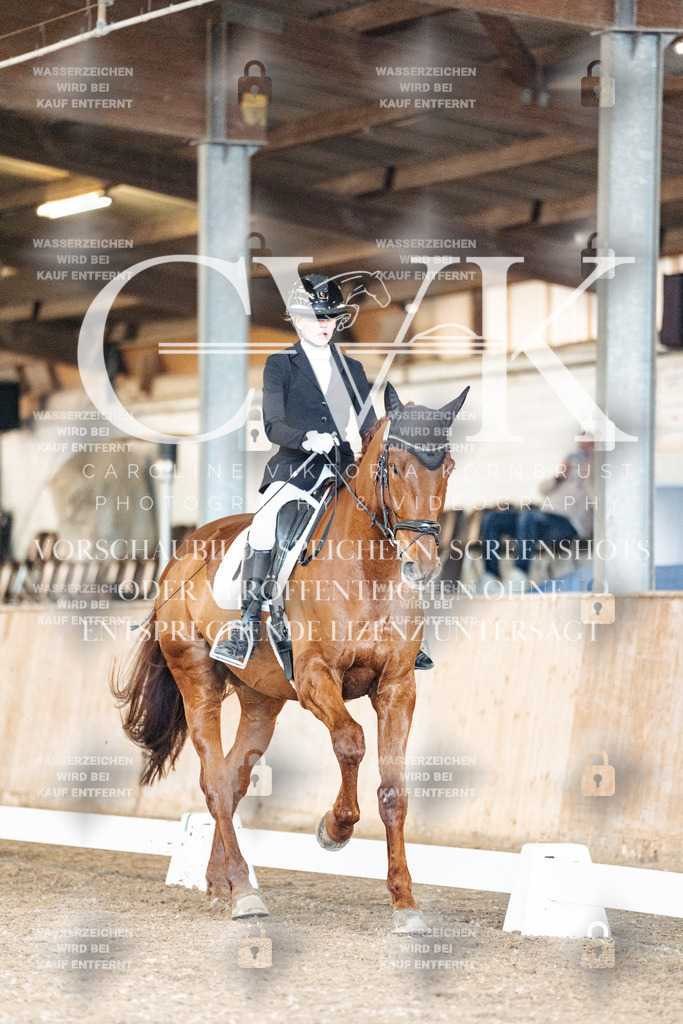CK901086 | Turnierfotografie Pferdefotografie Trier Rheinland-Pfalz Pferdesport Reitsport Tierfotografie Sportfotografie Pferdevideo Pferdevideografie Equestrianvideography equestrianphotography  - Realized with Pictrs.com