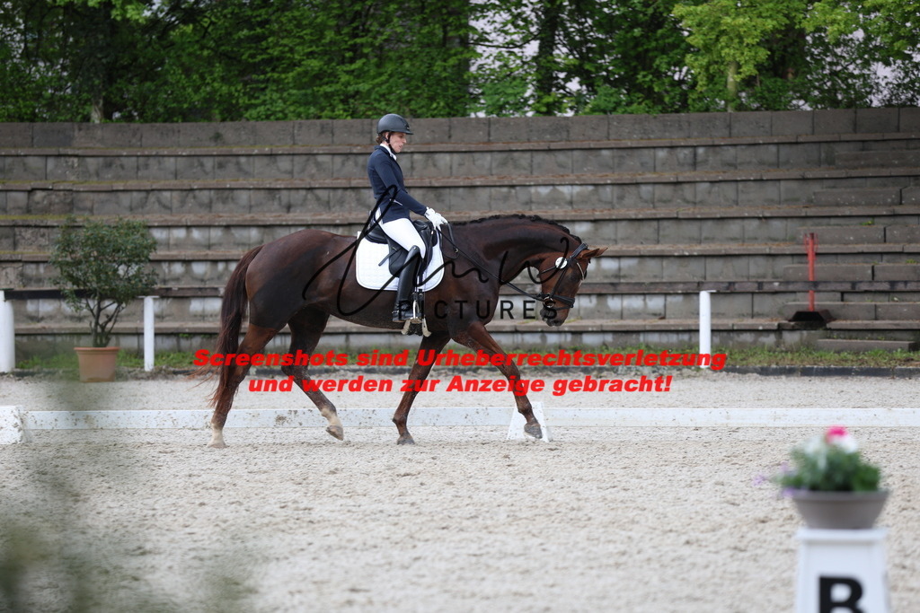 A40A9428 | lmwpictures - Realisiert mit Pictrs.com