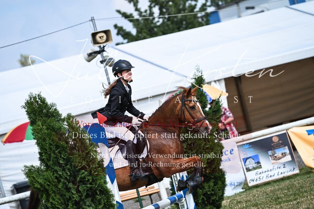 DSC_8571 | Pferde- und Turnierfotografie in Westsachsen. Pferdeportraits, Auftragszeichnungen und intuitive Kunst.