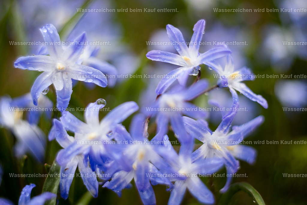 Die Klarheit im Jetzt finden | Die Botschaft zum Bild lautet: Diese Energie, die hinter diesem Bild steht, erfrischt, pustet dein Gehirn durch. Schau rein, fühle rein. Denn Gedankennebel, die in dir entstanden sind, dienen dir nicht mehr. Und jetzt lasse sie los. Jetzt entscheide dich für die Freiheit deiner Gedanken. Erkenne alte Gedankenmuster und lasse sie still werden. Und wie Sterne am Himmel erscheinen, erscheinen Intuition und neue Möglichkeiten.