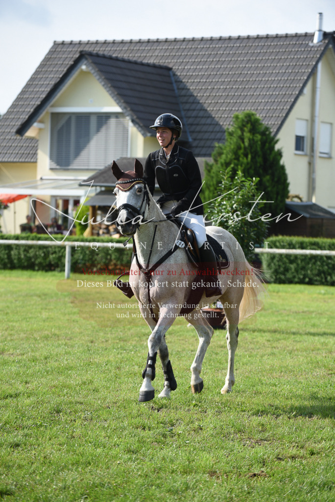 DSC_8742 | Pferde- und Turnierfotografie in Westsachsen. Pferdeportraits, Auftragszeichnungen und intuitive Kunst.