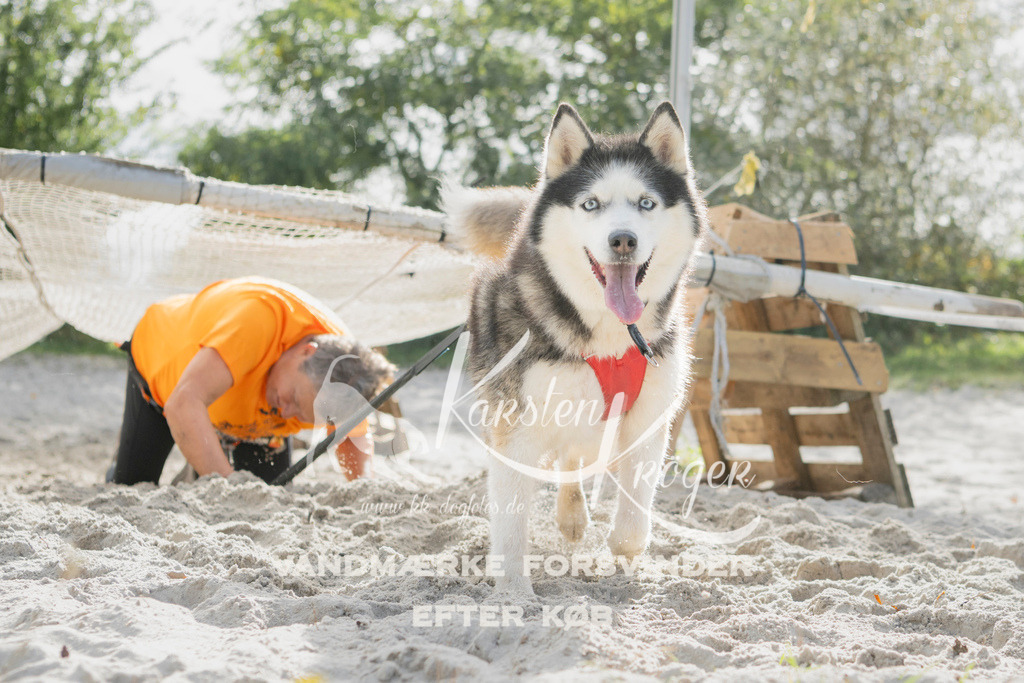 1328_ZZ97173 | kk-dogfotos