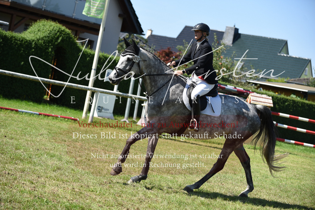 DSC_9528 | Pferde- und Turnierfotografie in Westsachsen. Pferdeportraits, Auftragszeichnungen und intuitive Kunst.