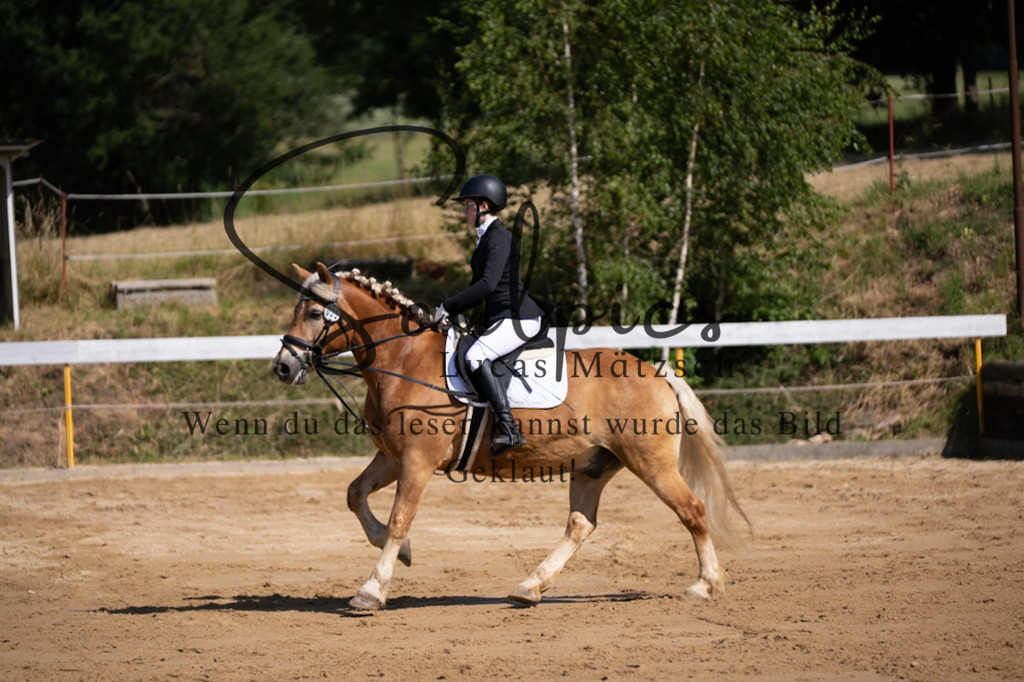 A7V07763 | Turnier/Reitfotograf