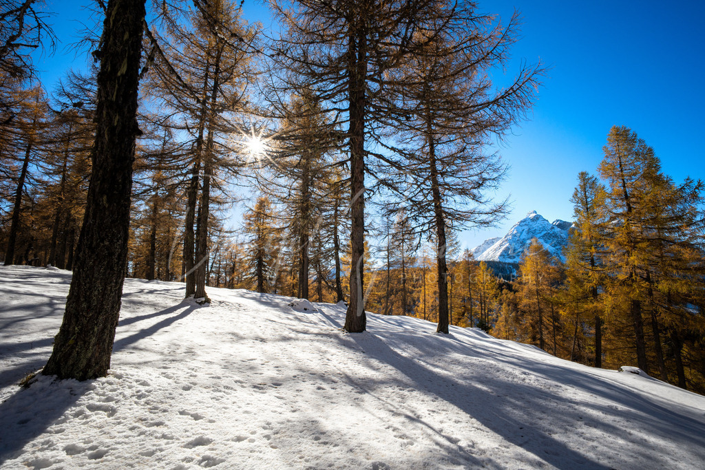 Eulenwiesen | Herbst bei den Eulenwiesen