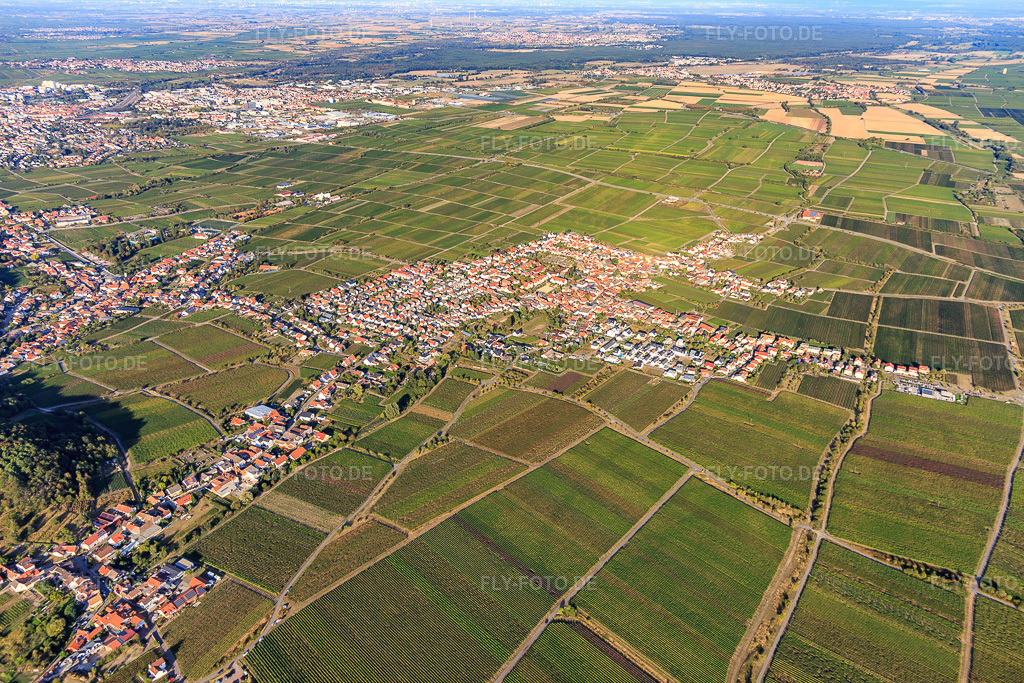 Luftbild: Ortsansicht von Südwesten im Ortsteil Diedesfeld in Neustadt im Bundesland Rheinland-Pfalz in Deutschland. Foto: IMG_111783.jpg vom 16.09.2018 durch Werner Riehm/FLY-FOTO.de