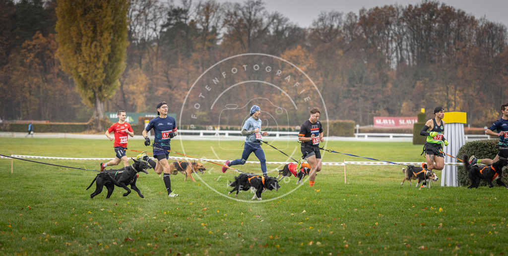 CaniXpix_DV3A9514 | Hundefotografie, Tierfotograf, Pfotenfotografie, Fotoshooting Hund, Hunde Portrait, Hundesport, Hundeportraits, Heideshooting, Hunde, Sportfotograf, Hundefotograf, Turnierhundsport, THS,  - Realisiert mit Pictrs.com
