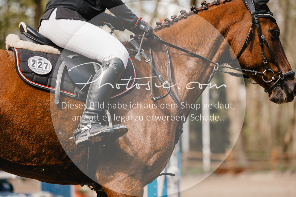 3I6A4191 | Stimmungsvolle Portraits und Reitsportfotografie im Ruhrgebiet und im Münsterland.

Pferdefotografie, Hundefotografie, Tierfotografie, Reportagen, Portraits von Tier und Mensch, Turnierfotografie in Bochum, Recklinghausen, Marl, Haltern am See, Dülmen.. - Realisiert mit Pictrs.com