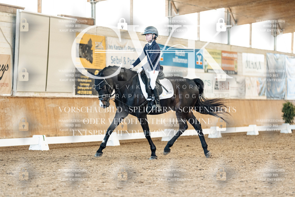 CK908256 | Turnierfotografie Pferdefotografie Trier Rheinland-Pfalz Pferdesport Reitsport Tierfotografie Sportfotografie Pferdevideo Pferdevideografie Equestrianvideography equestrianphotography  - Realisiert mit Pictrs.com