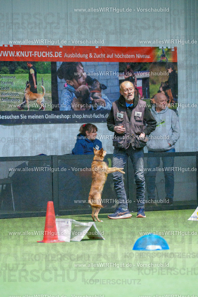 7R502657 | Professionelle Tierfotografie in Mönchengladbach von Daniel Wirth (allesWIRTHgut). Liebevolle & natürliche Bilder von Hunden & Katzen für unvergessliche Erinnerungen.