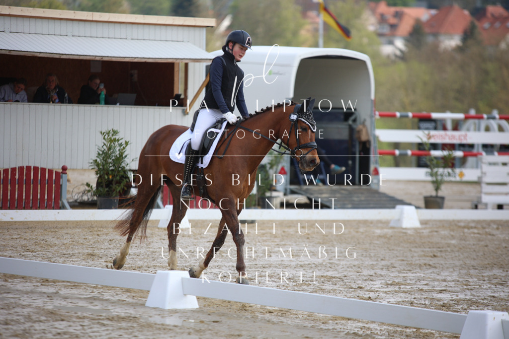 IMGT2346 | pl-fotografie