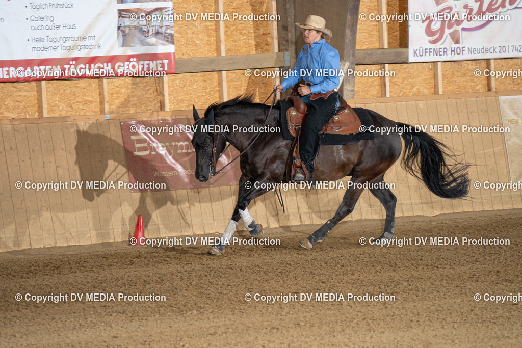 DSC00028-2 | dv-media-shop - Realisiert mit Pictrs.com