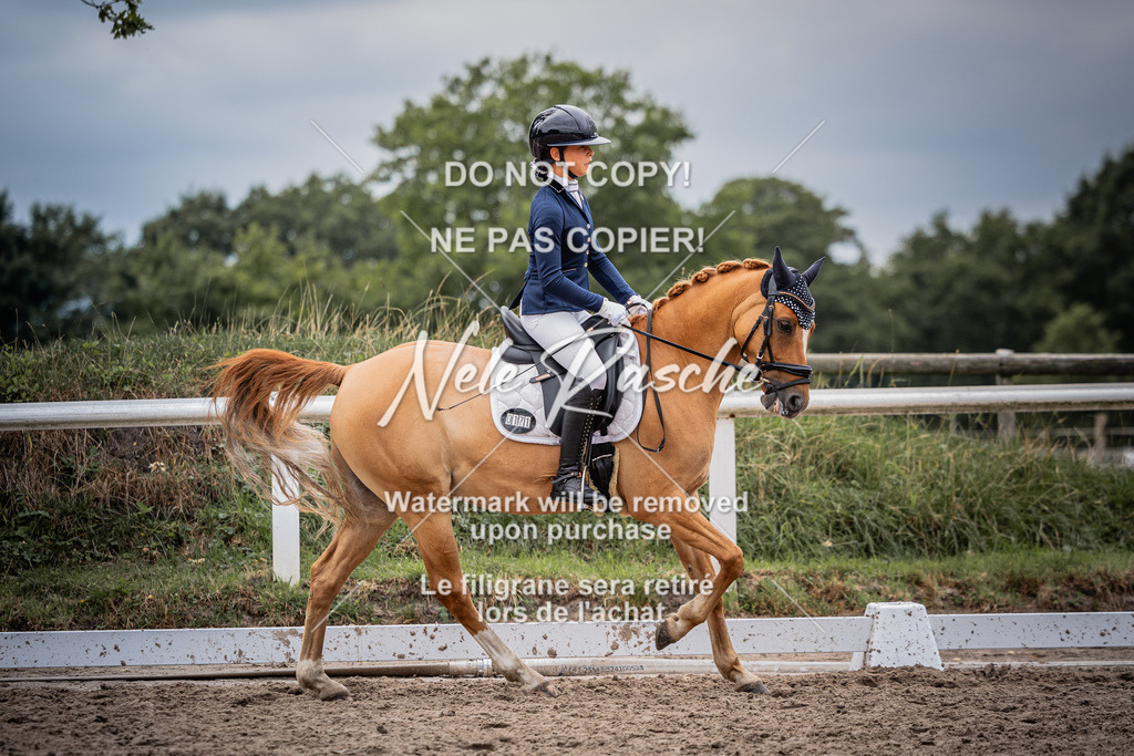 nelerasche_DressurA_Ede_224 | nelerasche