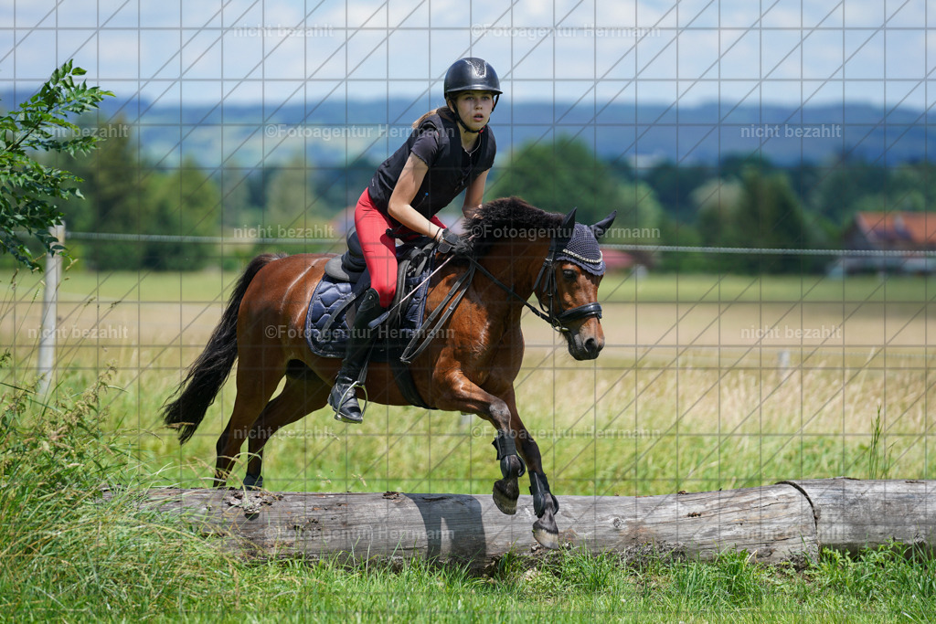 20240622-FAH07262 | Turnierfotografen Bayern, Reitsportbilder aus dem Geländekurs mit Felix Etzel auf dem Gut Waitzacker 2024