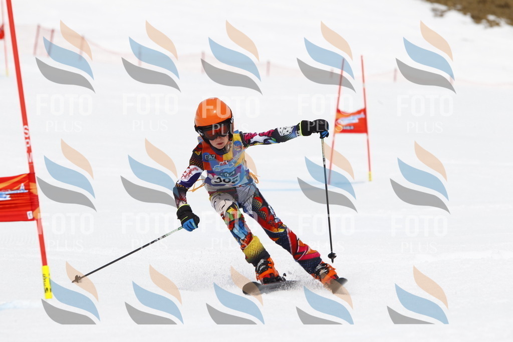 _U3G7522 | holidayphoto