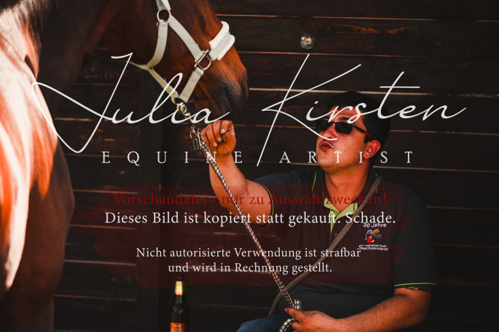 DSC_7301 | Pferde- und Turnierfotografie in Westsachsen. Pferdeportraits, Auftragszeichnungen und intuitive Kunst.