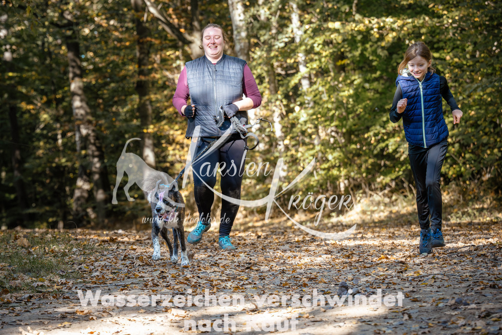 1219_ZZ94760 | kk-dogfotos