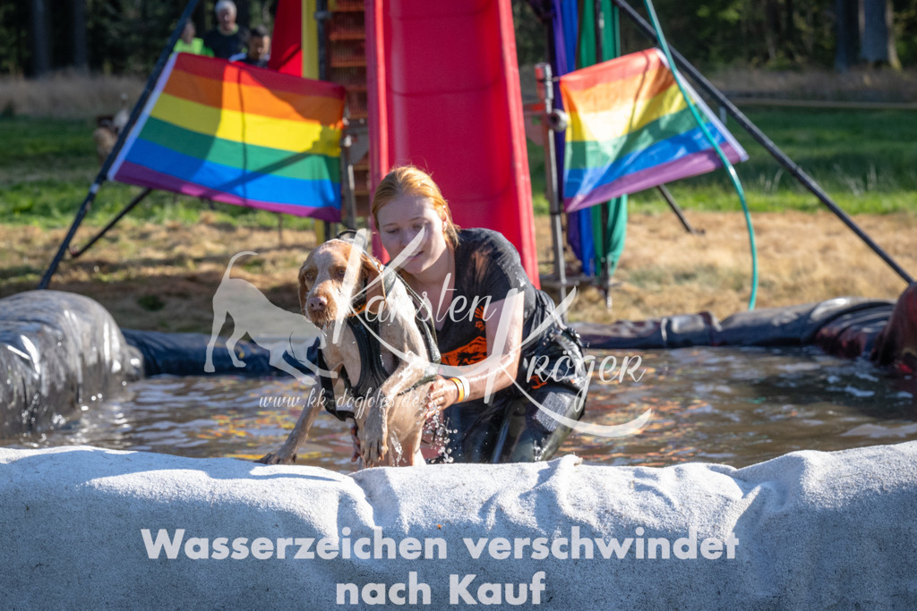 1717_ZZ94472 | kk-dogfotos