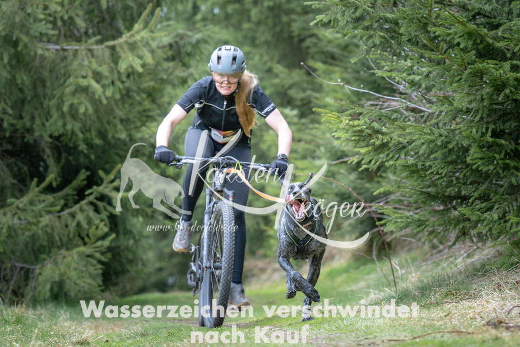 1310_ZZ93836 | kk-dogfotos