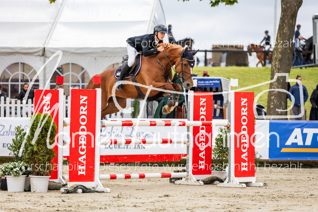 BHO-2PhSpr-M-5-2273 | MomenTaufnahmen Pferdesportfotos