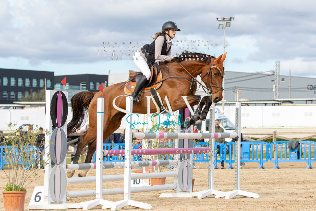 IMG_3137 | s-jay-photography - Realisiert mit Pictrs.com